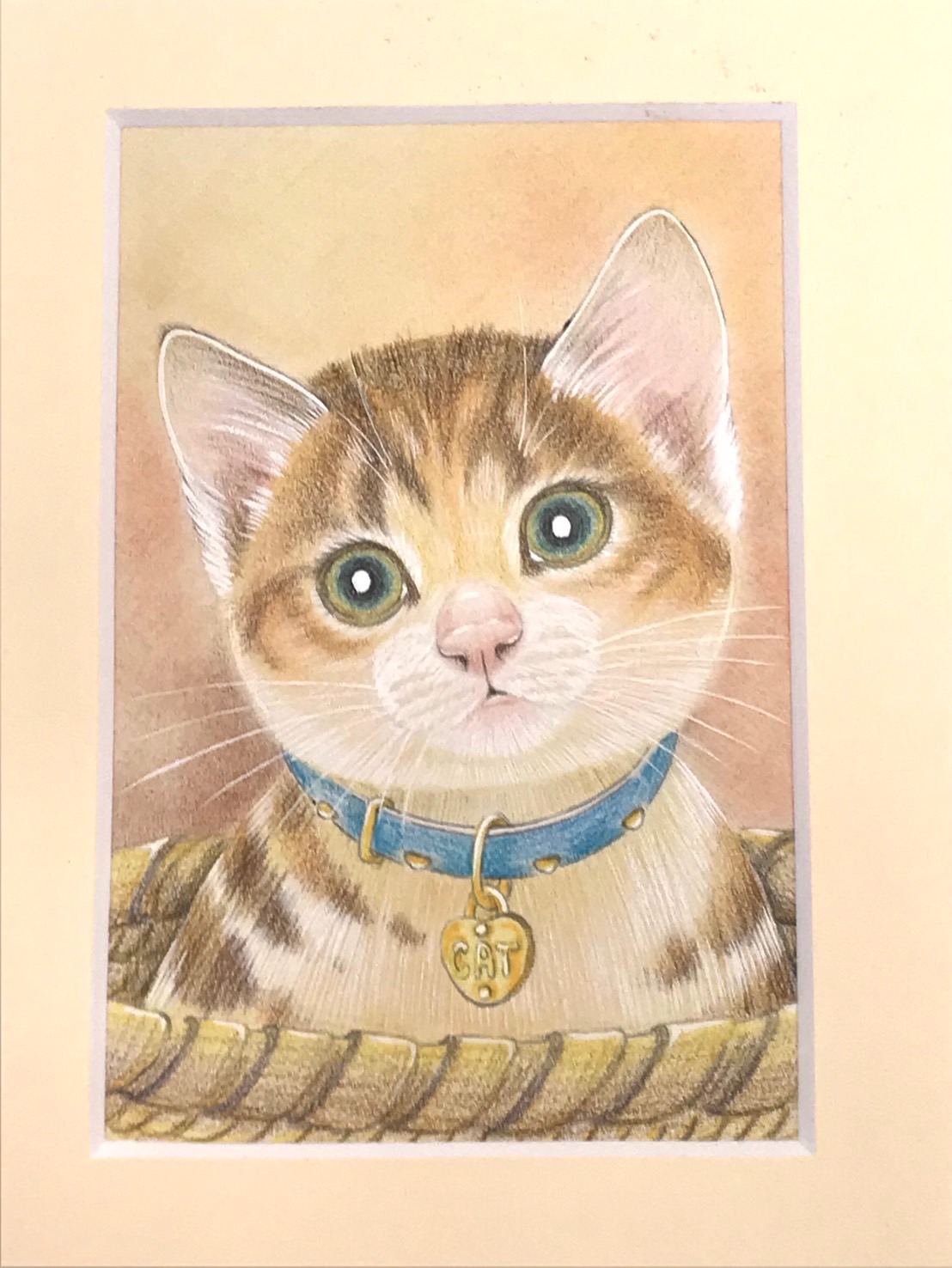 猫のイラスト